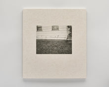 Load image into Gallery viewer, Democratic Vistas