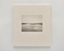 Load image into Gallery viewer, Democratic Vistas