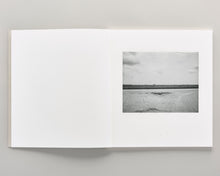 Load image into Gallery viewer, Democratic Vistas