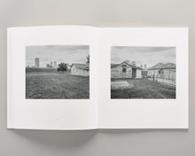 Load image into Gallery viewer, Democratic Vistas