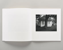 Load image into Gallery viewer, Democratic Vistas