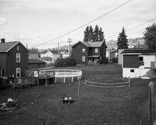 Load image into Gallery viewer, Democratic Vistas