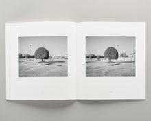 Load image into Gallery viewer, Democratic Vistas