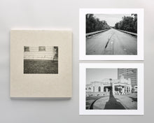 Load image into Gallery viewer, Democratic Vistas