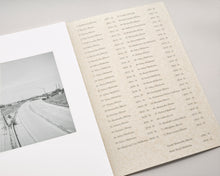 Load image into Gallery viewer, Democratic Vistas