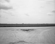 Load image into Gallery viewer, Democratic Vistas