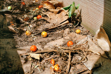 Load image into Gallery viewer, so many beautiful reasons