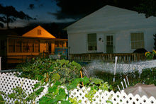 Load image into Gallery viewer, so many beautiful reasons