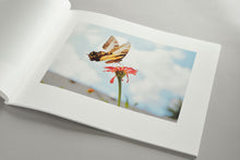 Load image into Gallery viewer, so many beautiful reasons