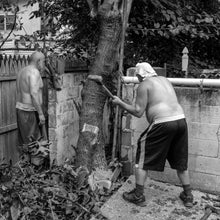 Load image into Gallery viewer, Family Tree Removal