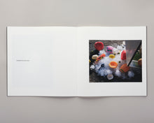 Load image into Gallery viewer, Los Angeles and the Abstract Truth