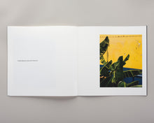 Load image into Gallery viewer, Los Angeles and the Abstract Truth