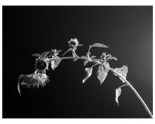 Load image into Gallery viewer, Where You Were When