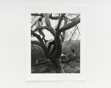 Load image into Gallery viewer, Angels Point