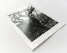 Load image into Gallery viewer, Angels Point