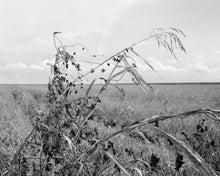 Load image into Gallery viewer, Memorare