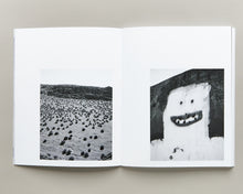 Load image into Gallery viewer, 37.2431° N, 115.7930° W