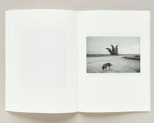 Load image into Gallery viewer, Memorare