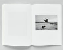 Load image into Gallery viewer, Memorare (Second Printing)
